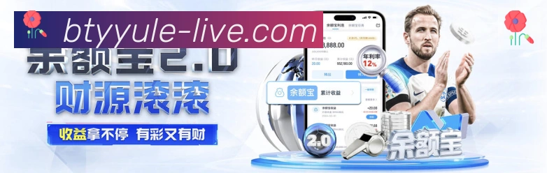 未来规划